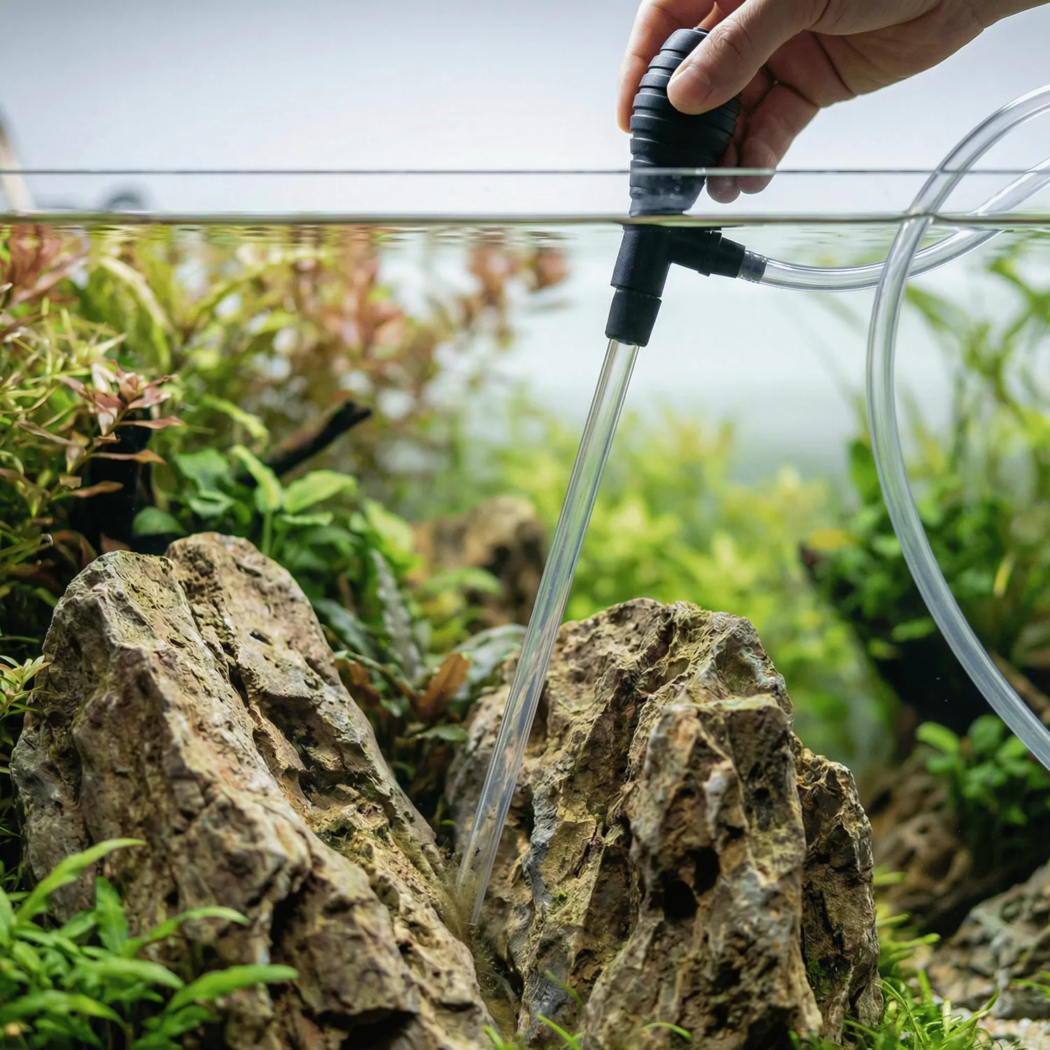 NatureHolic Detail Mulmsauger Aquariensauger bis 40 cm Höhe