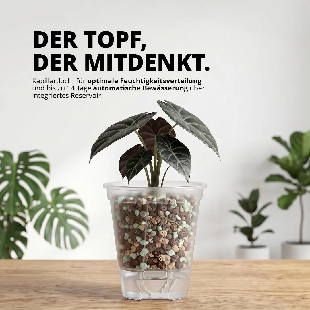 NatureHolic Junglepot Selbstbewässerungstopf 15x15,5 cm mit Docht