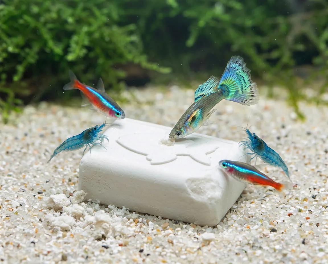 NatureHolic Holiday Block Aquarium Urlaubsfutter Block
