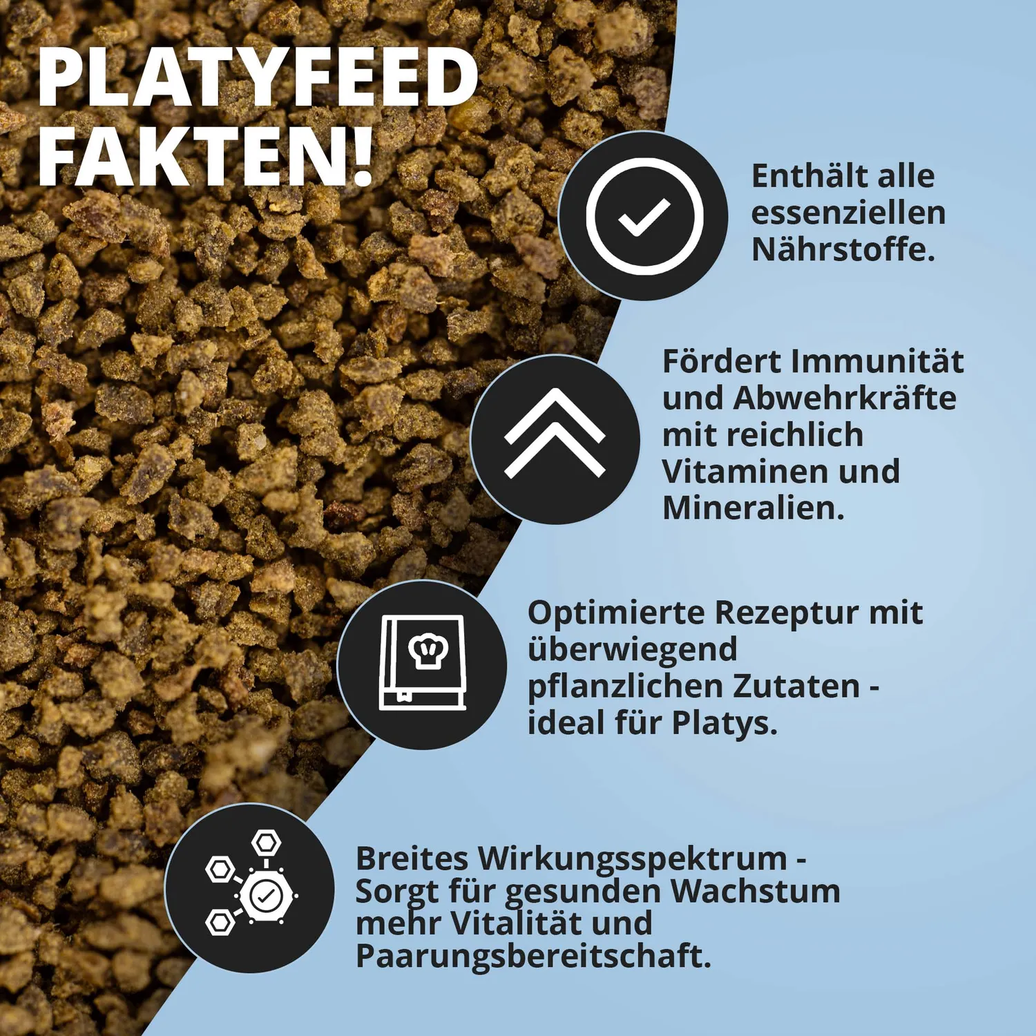 NatureHolic PlatyFeed Fischfutter 30 g Granulat ColorBooster