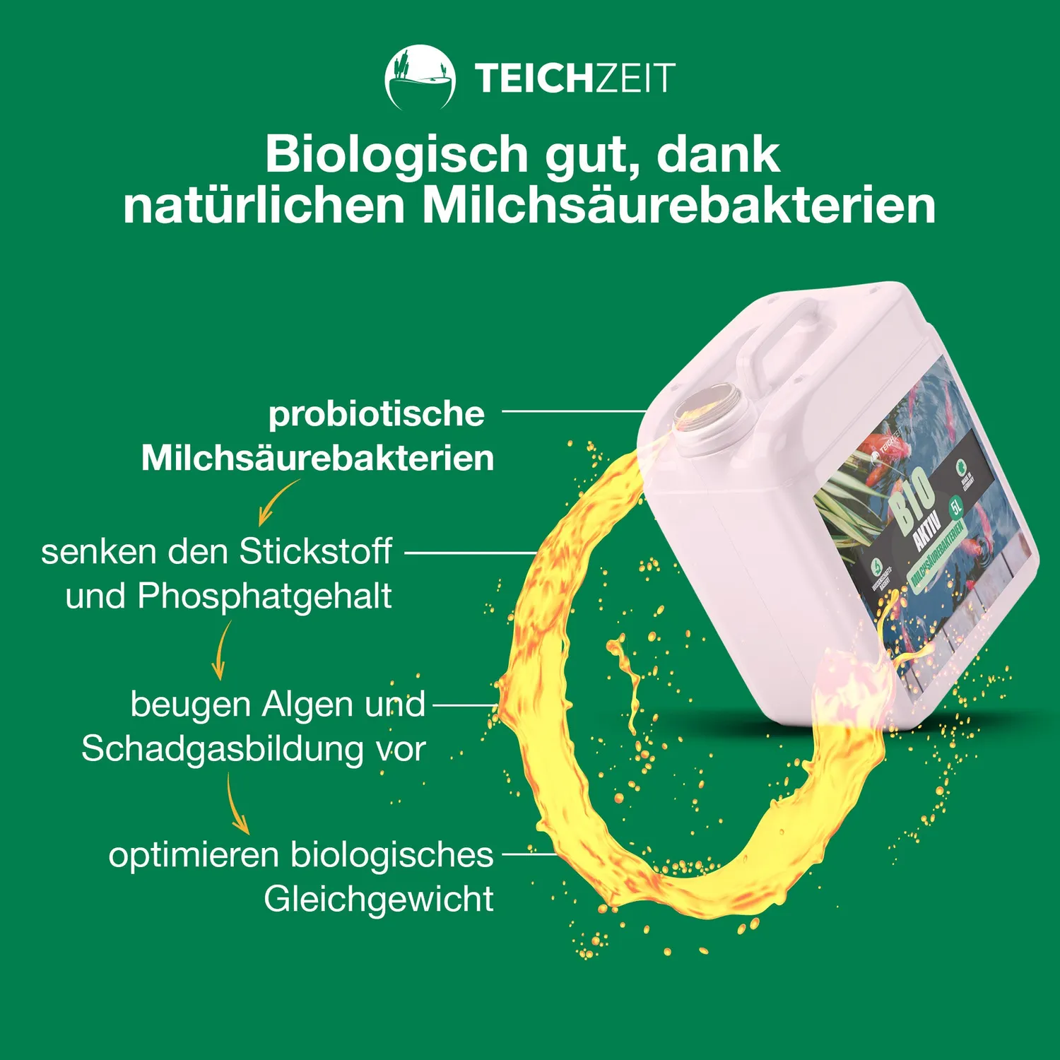 Teichzeit Bio-Aktiv Milchsäurebakterien Teich 1000 Liter Dosierung