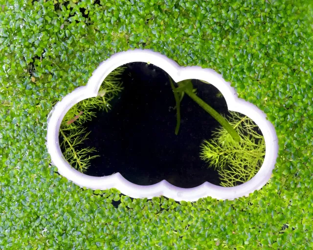 NatureHolic Portal Cloud Schwimmring Größe S für Aquarium