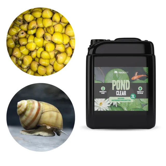 Teichzeit Pond Clear Set Teichwasser 1x Mittel + 10 Tiere
