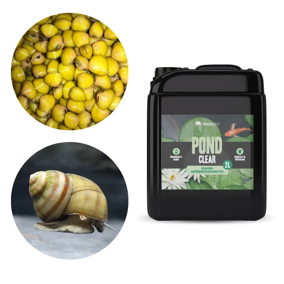 Teichzeit Pond Clear Set Teichwasser 1x Mittel + 10 Tiere