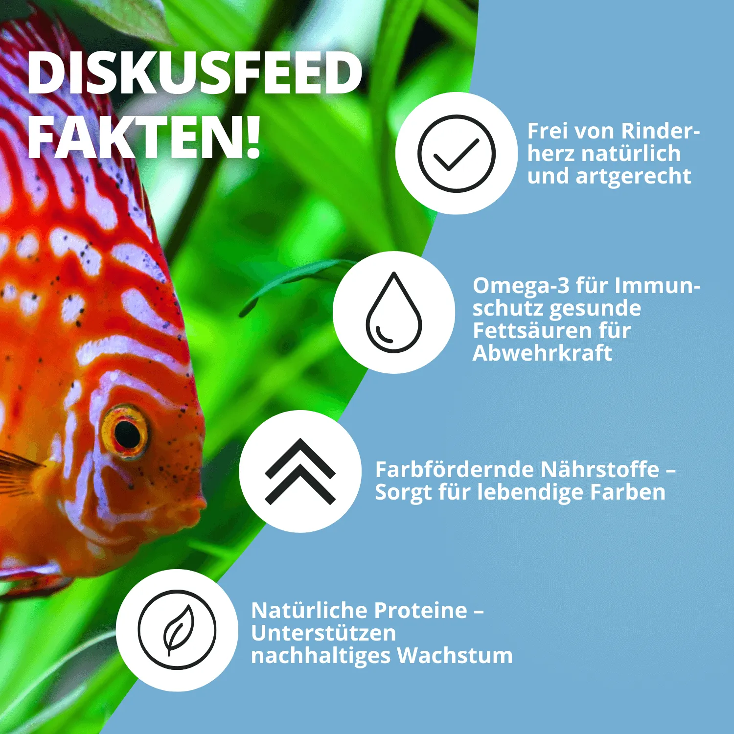 NatureHolic Discusfeed Diskus Granulatfutter 130g proteinreich Knoblauch