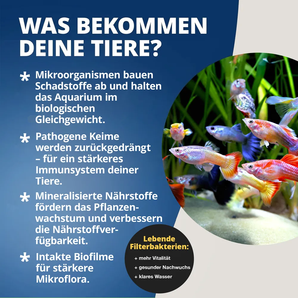 NatureHolic Bacter Liquid Filterstarterbakterien 125 ml flüssig