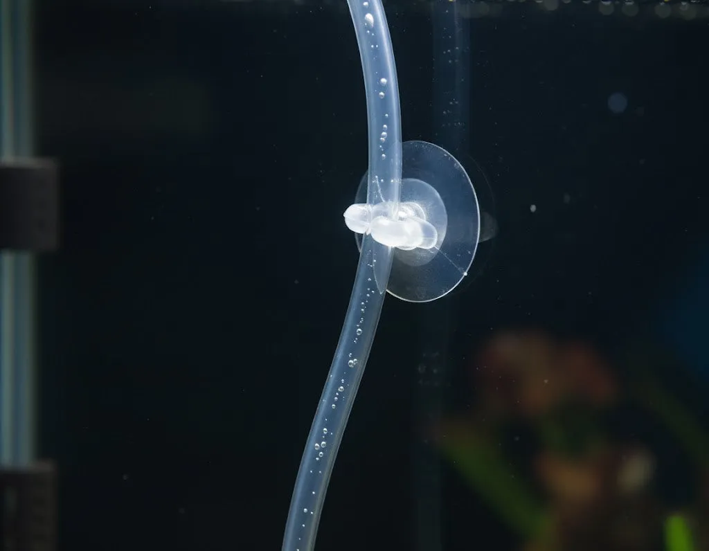 NatureHolic Eingewöhnungsset Tropfset Aquarium Garnelen Fische