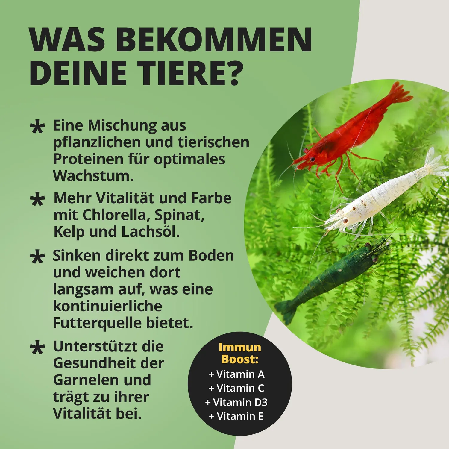 NatureHolic Nano Bites Garnelenfutter 25g sinkende Mikrosticks