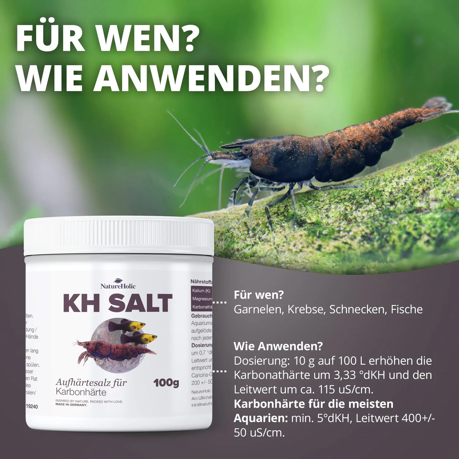 NatureHolic KH Salt Aufhärtesalz 500 g chloridreduziert