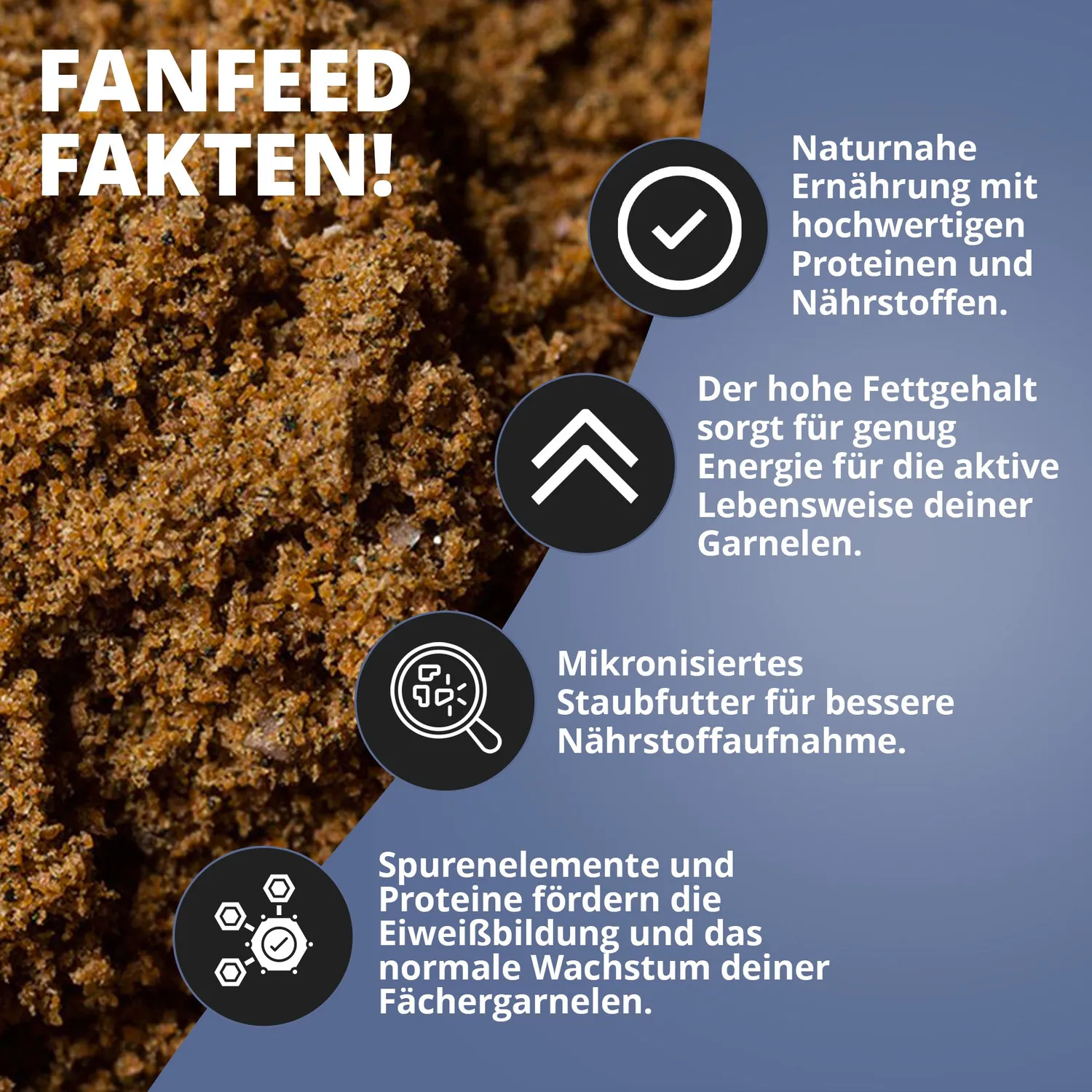 NatureHolic Fächerfeed Fächergarnelenfutter Staubfutter 30 g
