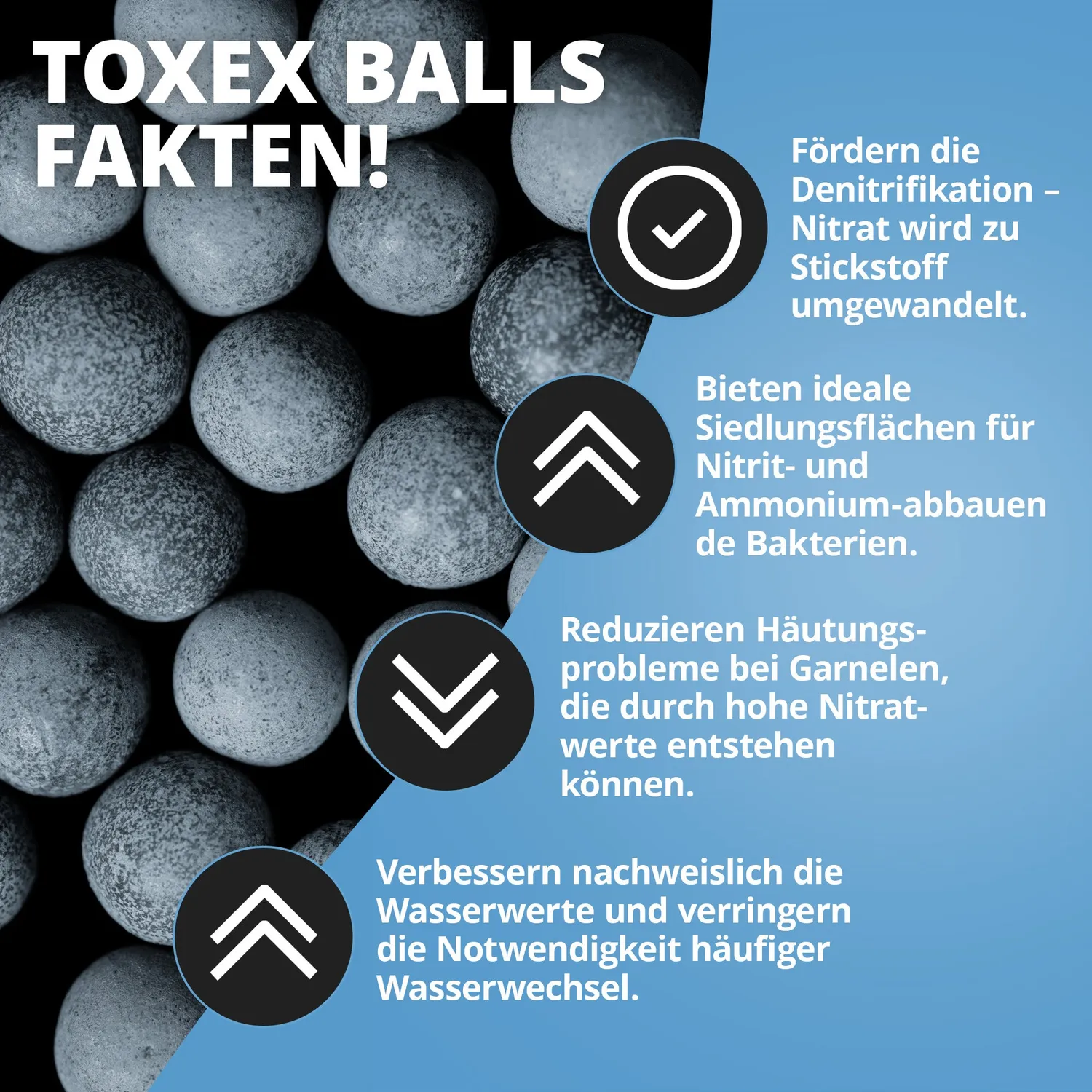 NatureHolic ToxEx Balls Wasseraufbereiter 60g Mineralien