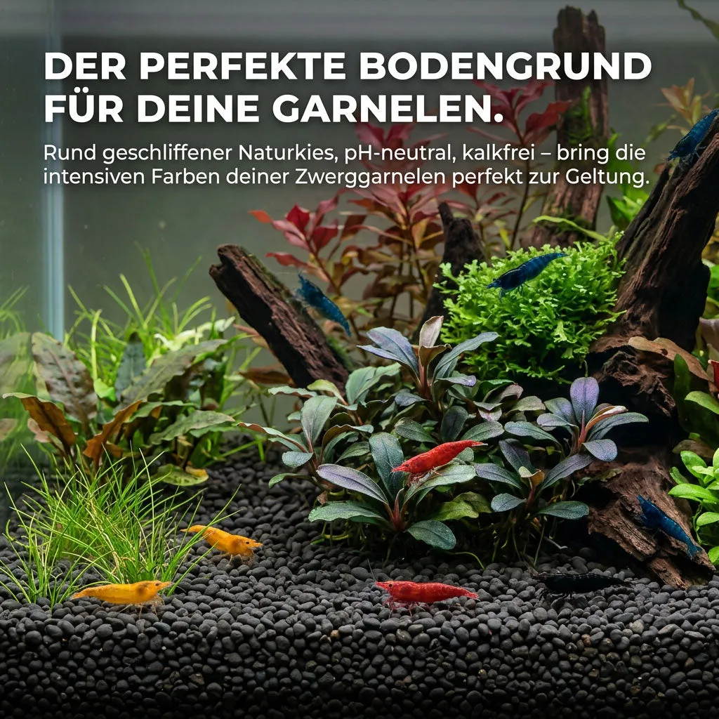 NatureHolic Garnelen Kies Naturkies schwarz 3 kg 2-4 mm