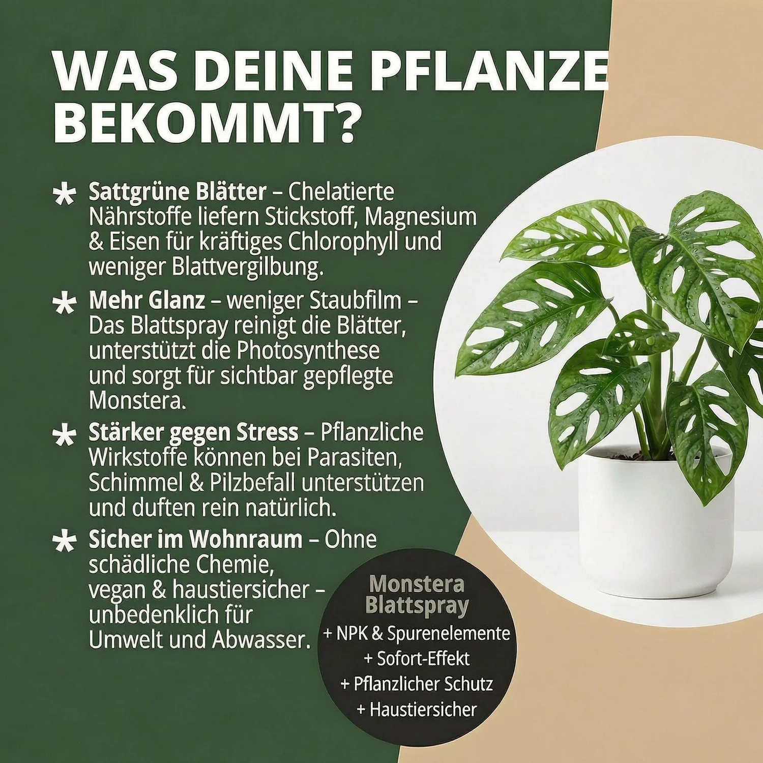 NatureHolic Monstera Spray Blattspray Dünger NPK Fensterblatt