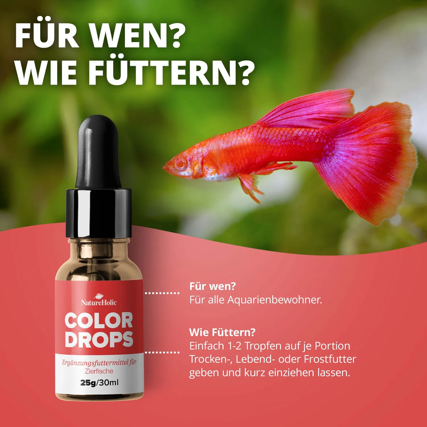 NatureHolic Color Drops Fischfutter-Zusatz 30 ml Carotin