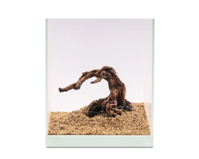 NatureHolic Ready to Scape Half Moon Wood Deko Polyresin