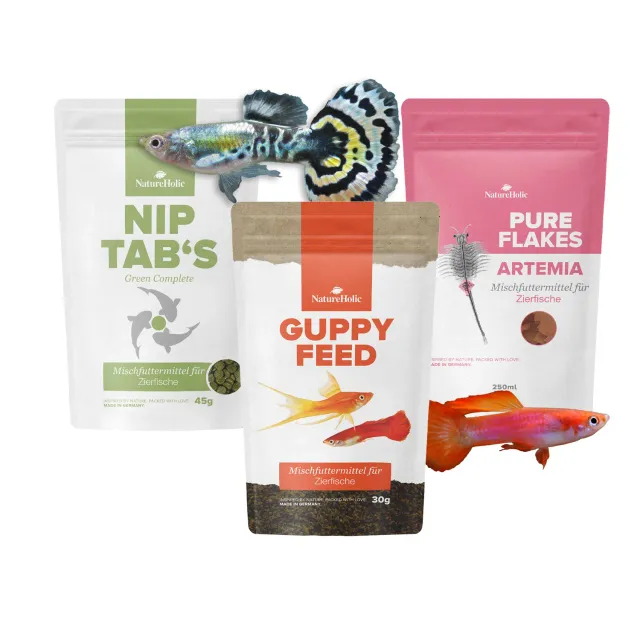NatureHolic Guppy Futter Bundle Fischfutter Softgranulat Flocken Hafttabletten