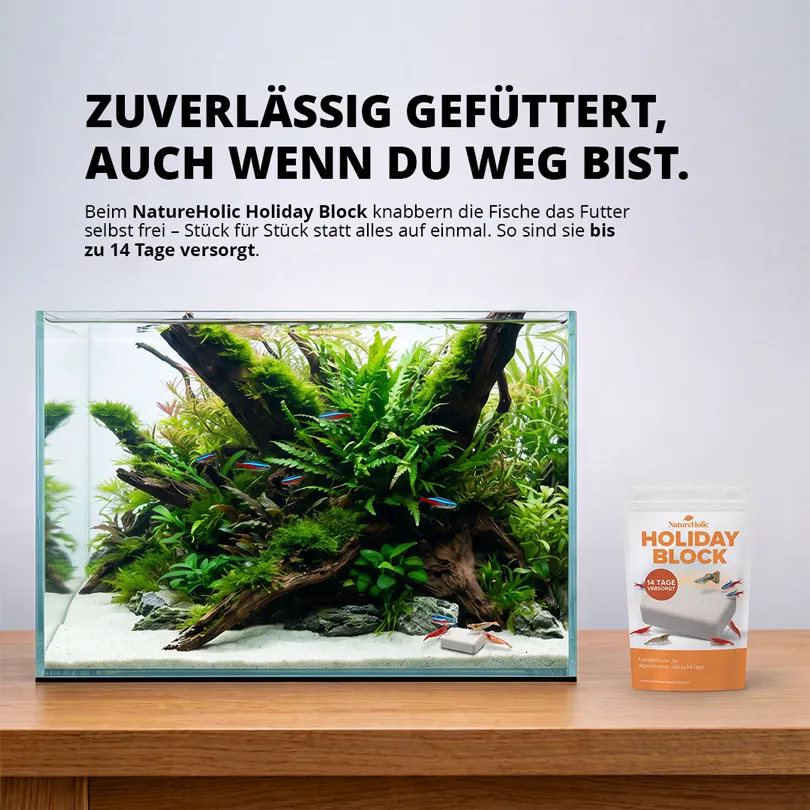 NatureHolic Holiday Block Aquarium Urlaubsfutter Block