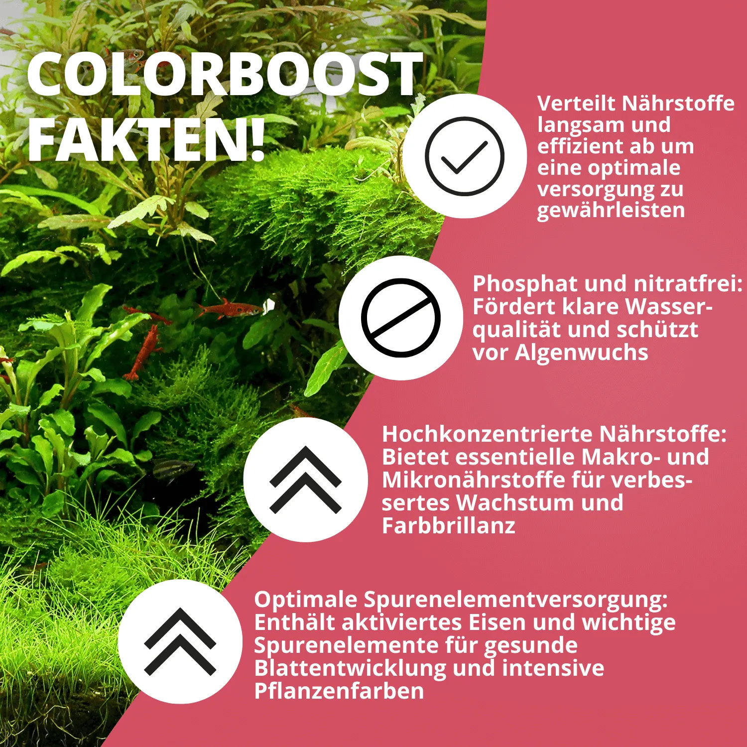 NatureHolic Grow Tab Colorbooster Düngetabs Eisen