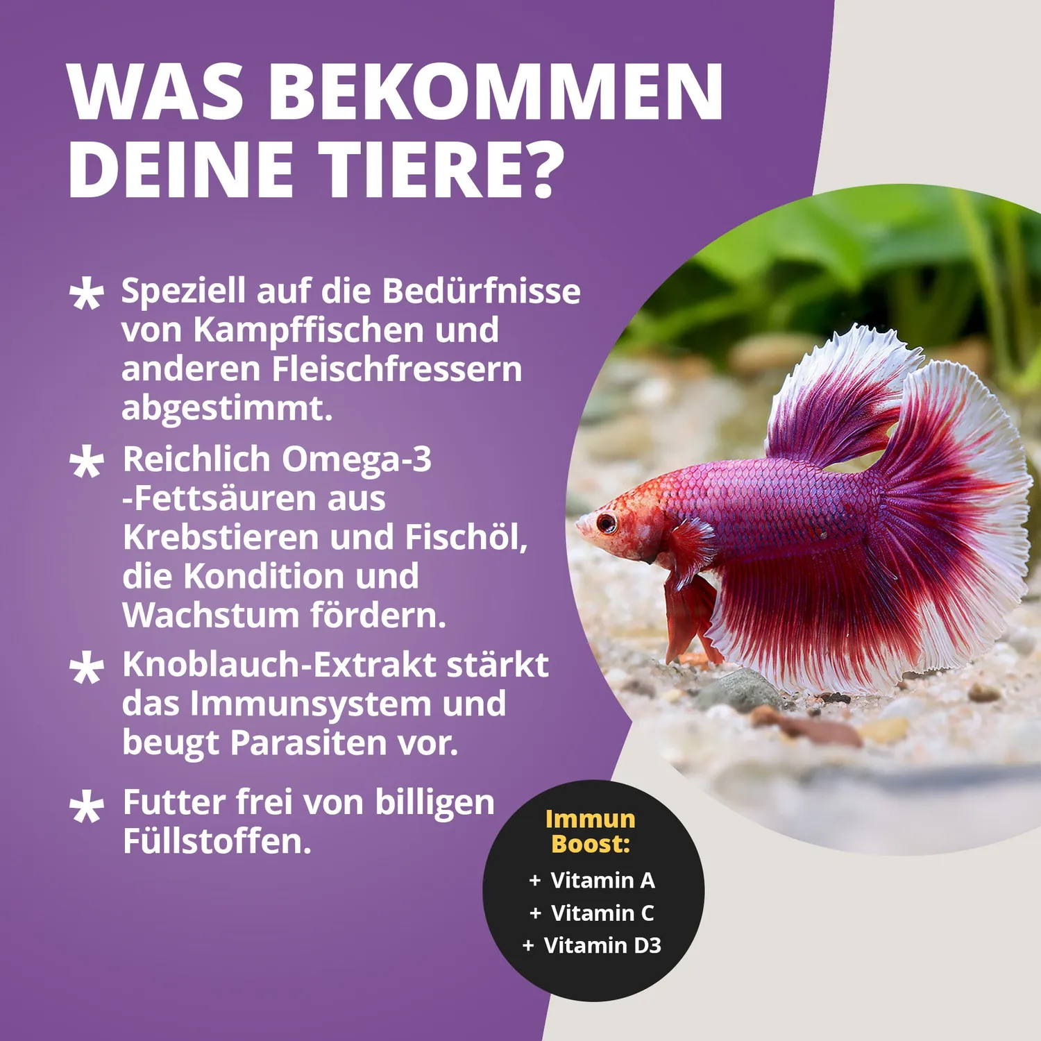 NatureHolic Bettafeed Bettafutter Granulat 30g Kampffisch
