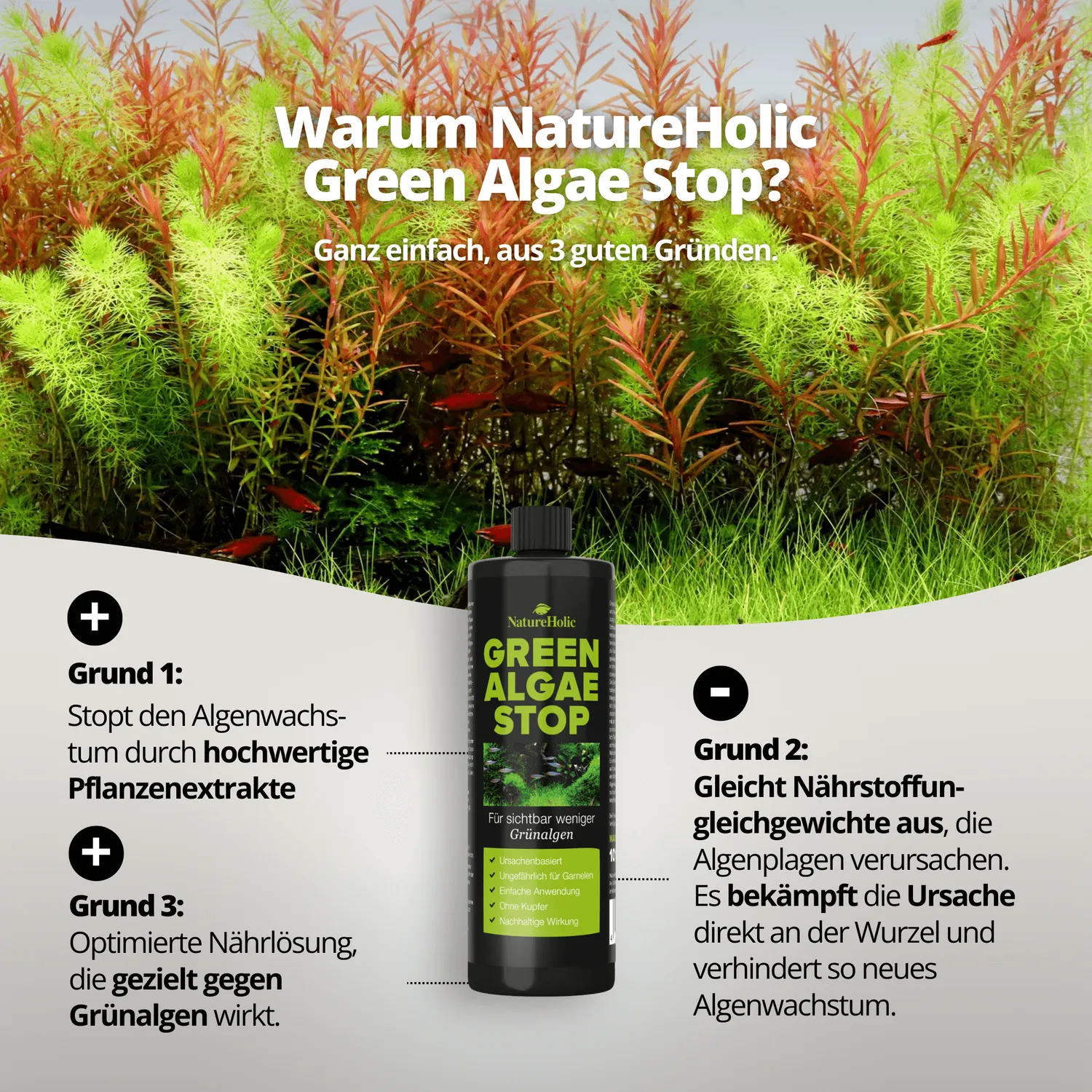 NatureHolic Green Algae Stop Grünalgenentferner 250 ml Nitrat