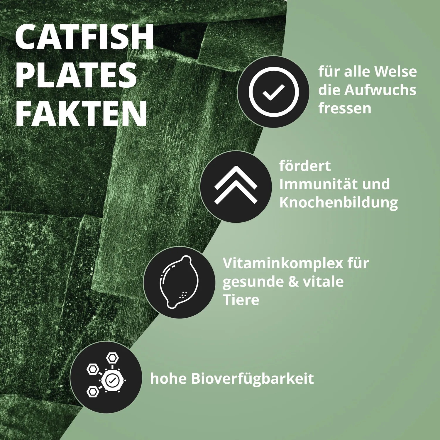NatureHolic CatfishPlates Algentafeln 5 Stk Ballaststoffe