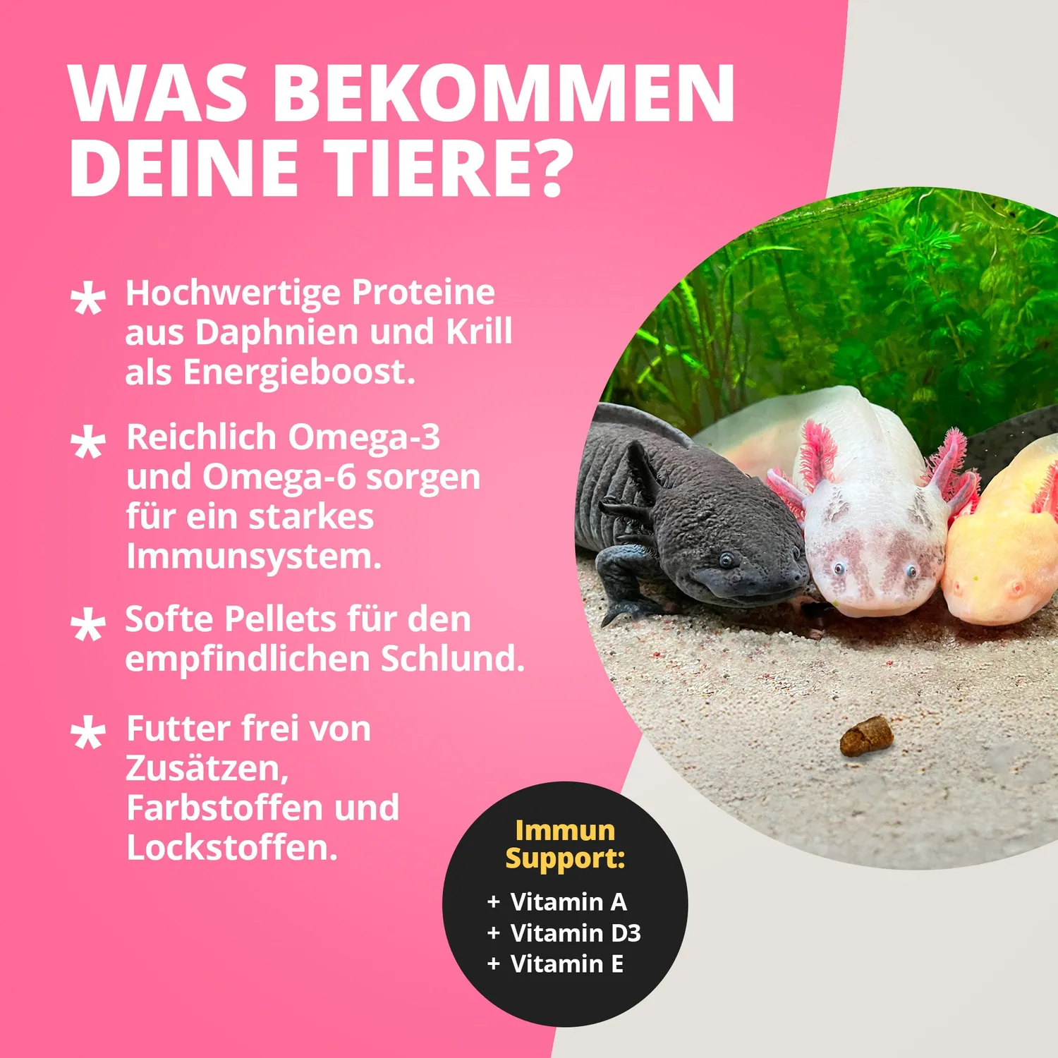 NatureHolic AxolotlFeed Spezialfutter 50g soft