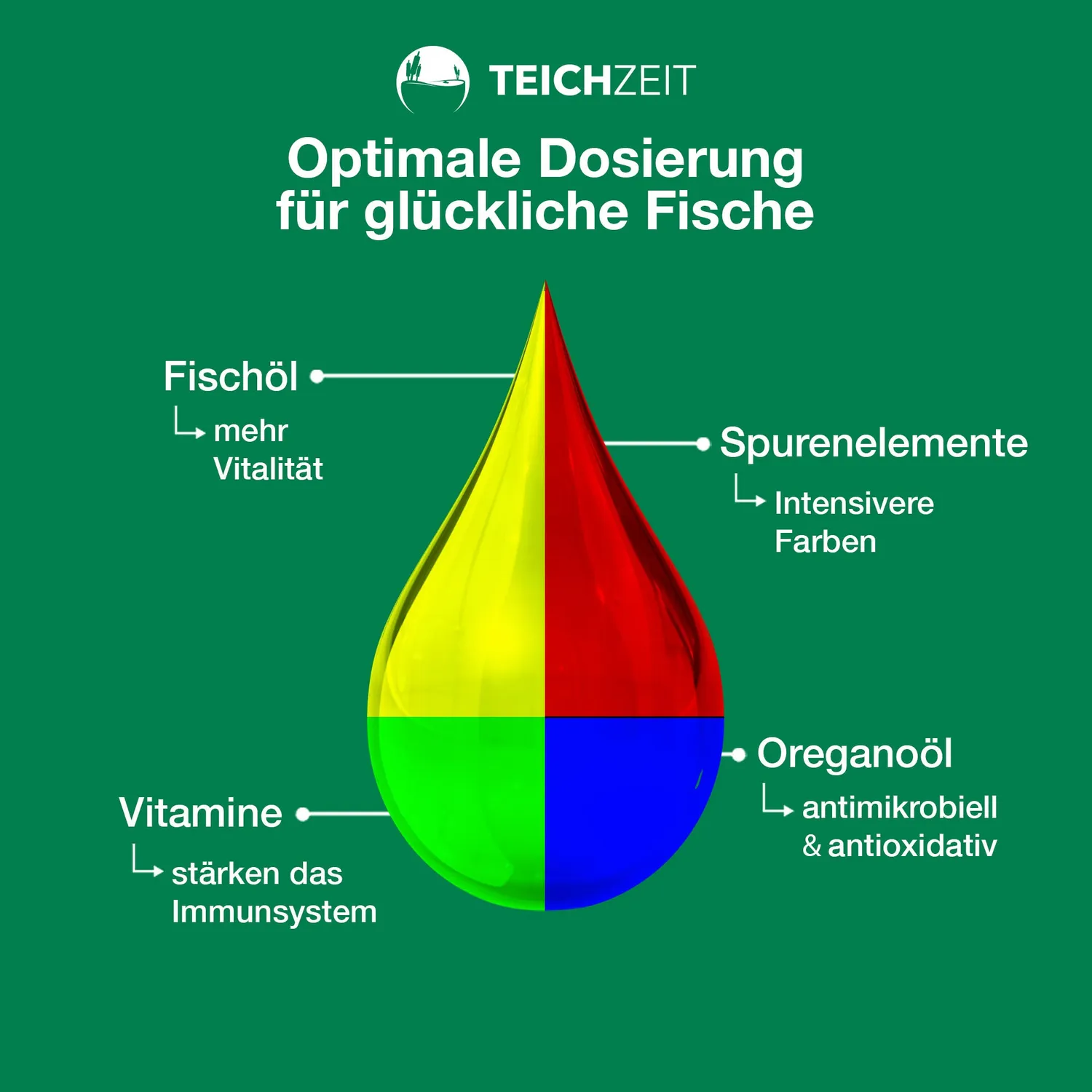 Teichzeit Biotop Futter Sink Teichfutter 1000 ml