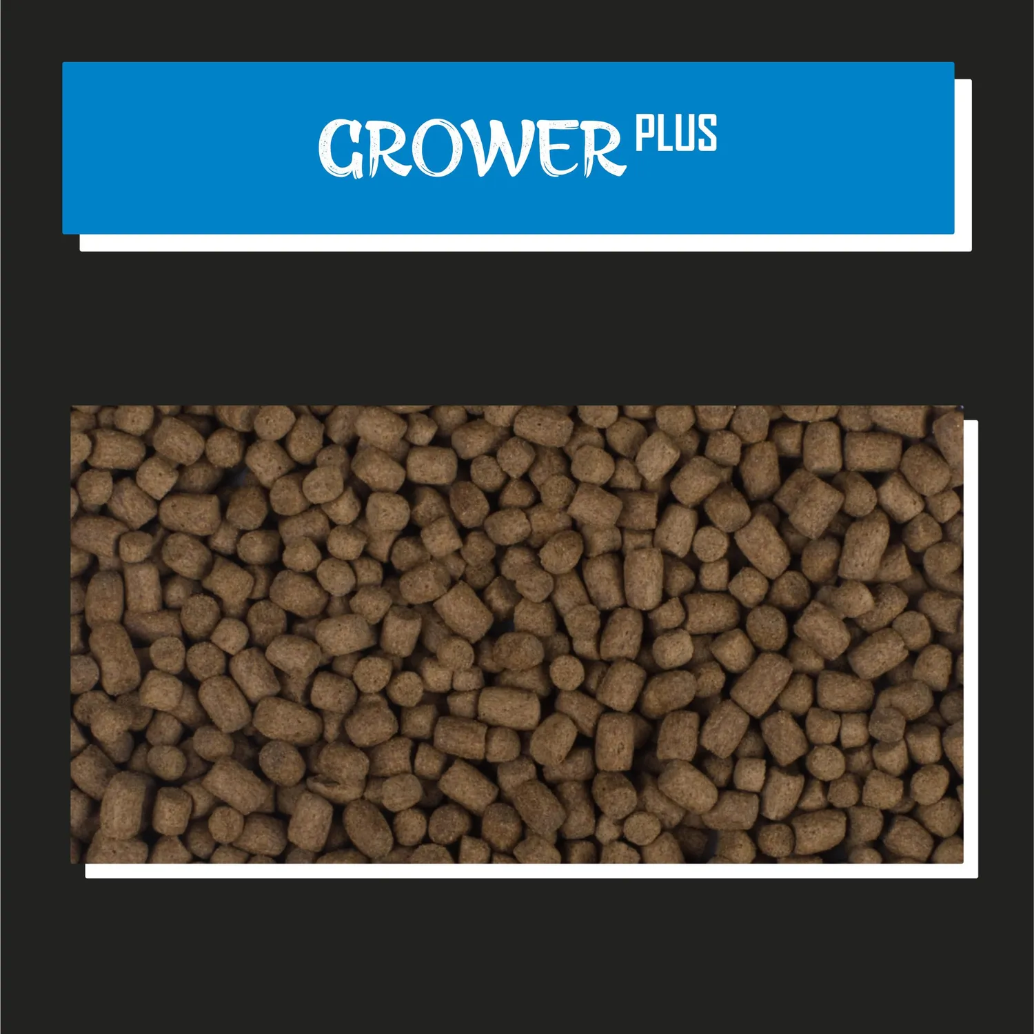 Tanoshi Grower Plus 3mm Koifutter 13,5 kg mit Lachsöl