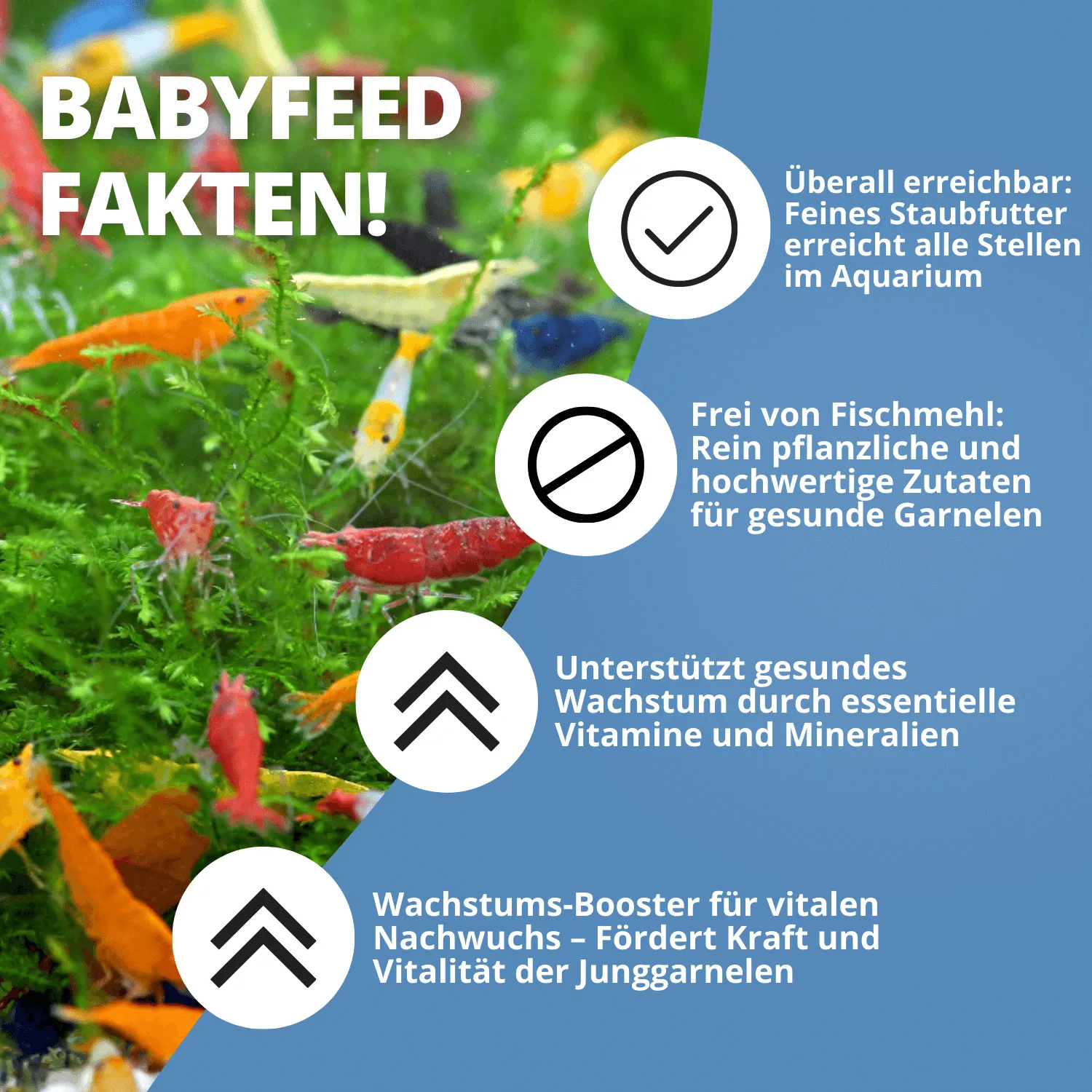 NatureHolic Babyfeed Garnelen-Aufzuchtfutter Staubfutter 30g mikrofein