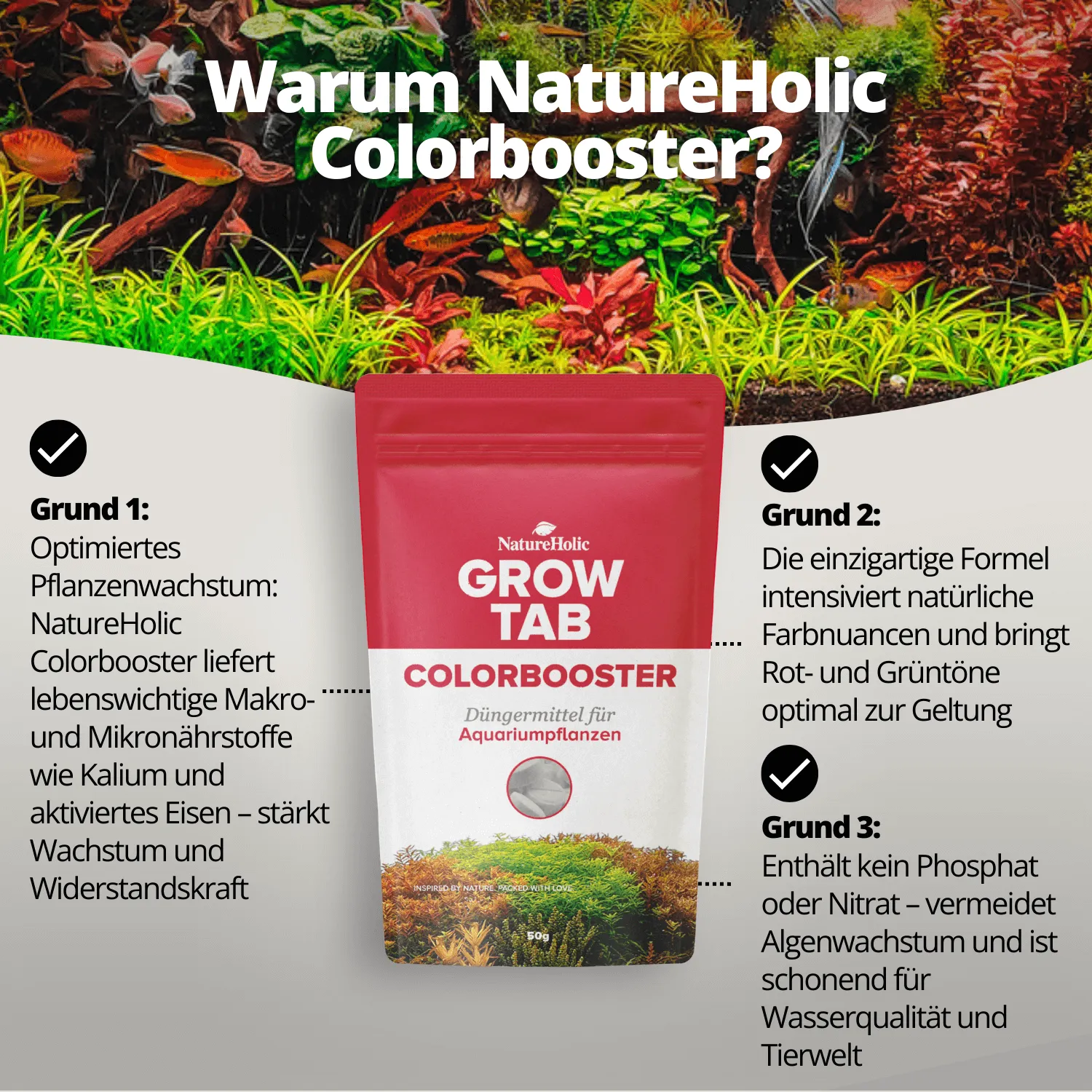 NatureHolic Grow Tab Colorbooster Düngetabs Eisen