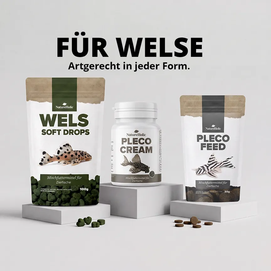 NatureHolic Wels Soft Drops Welsfutter 100g Insektenprotein
