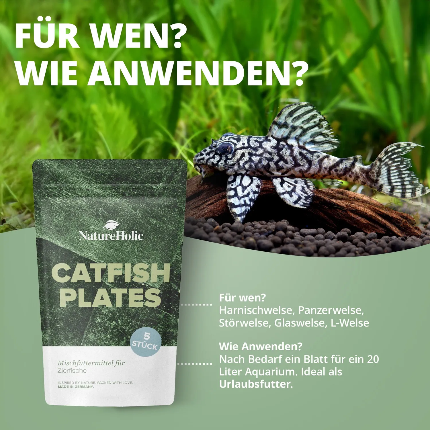 NatureHolic CatfishPlates Algentafeln 5 Stk Ballaststoffe