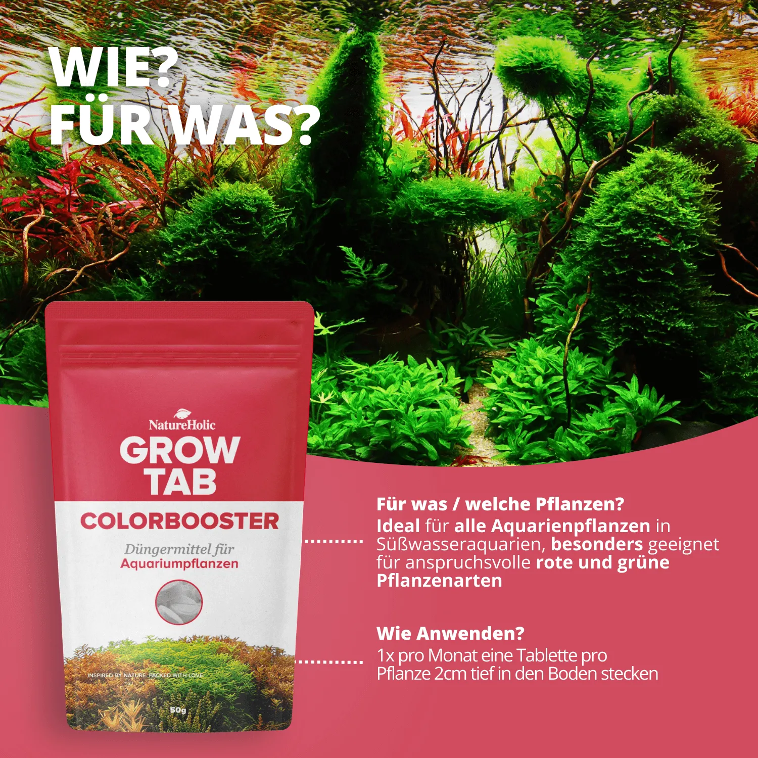 NatureHolic Grow Tab Colorbooster Düngetabs Eisen