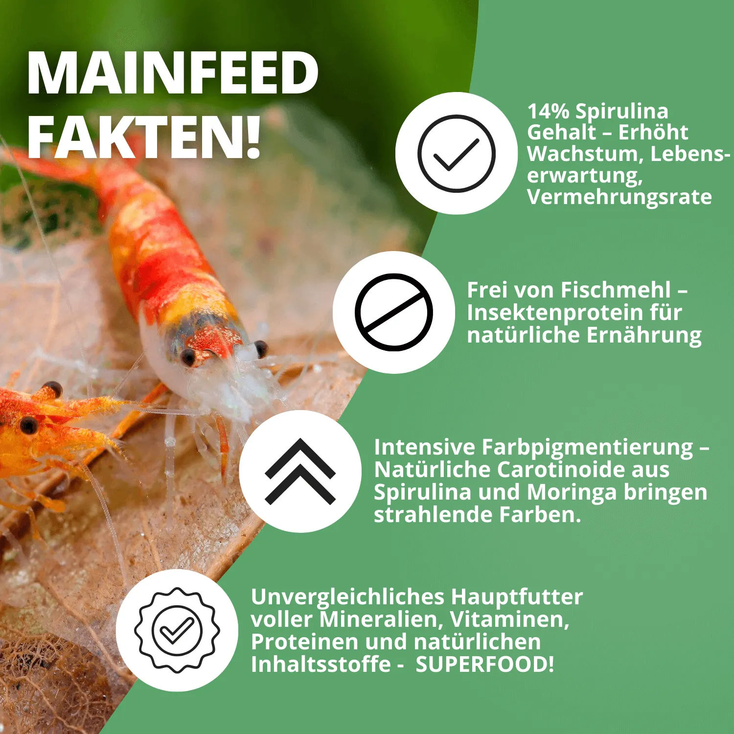NatureHolic Mainfeed Garnelenfutter 30g Softpads Insektenprotein