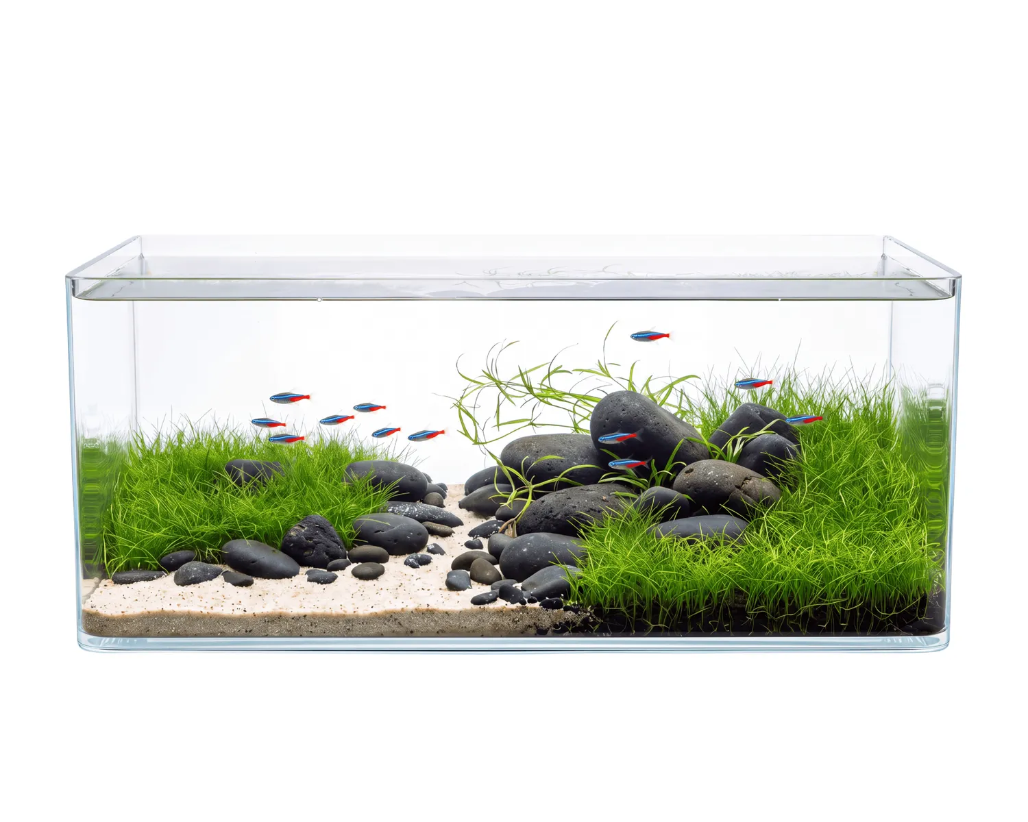 NatureHolic Curved Garden Tank Panorama Aquarium 5 Liter gebogen