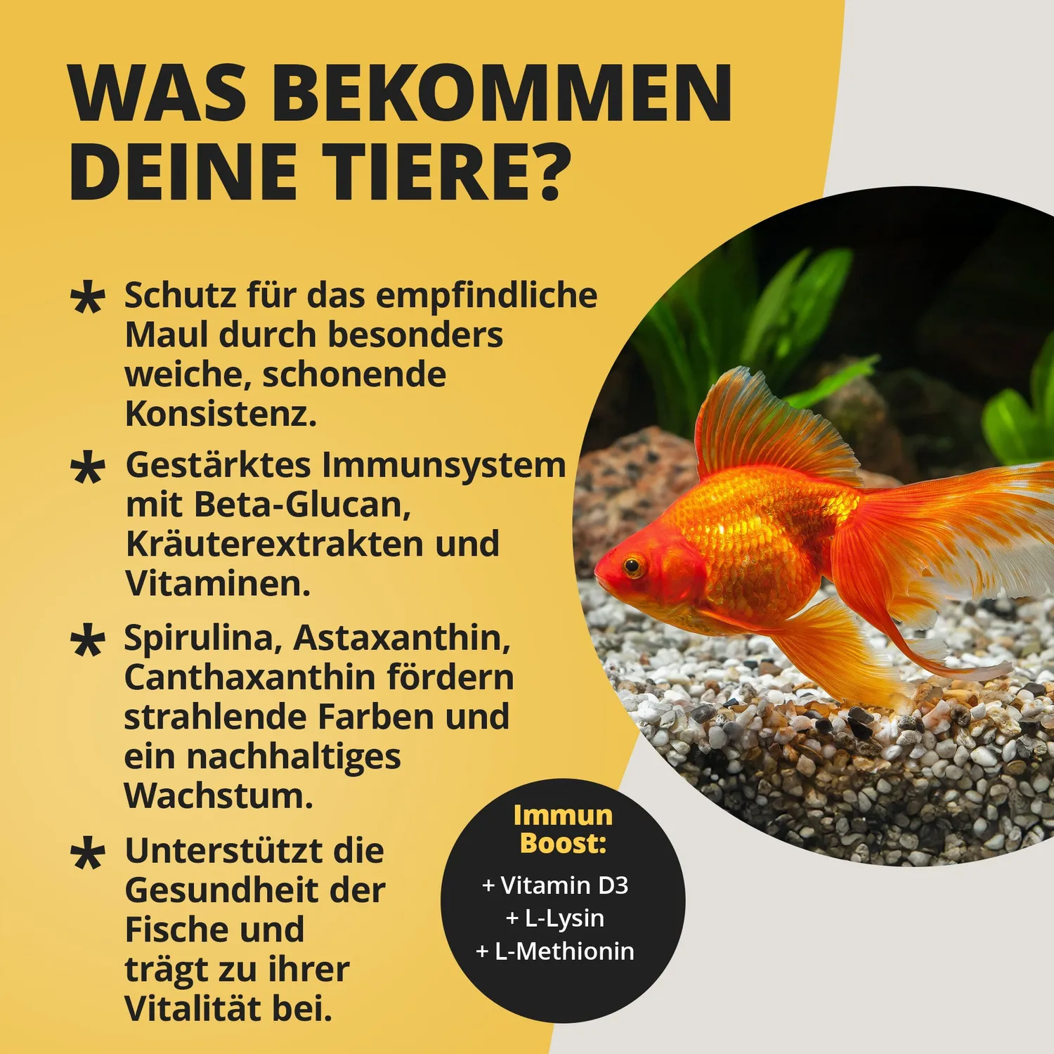 NatureHolic Goldfish Softies Goldfischfutter 130g schwimmend