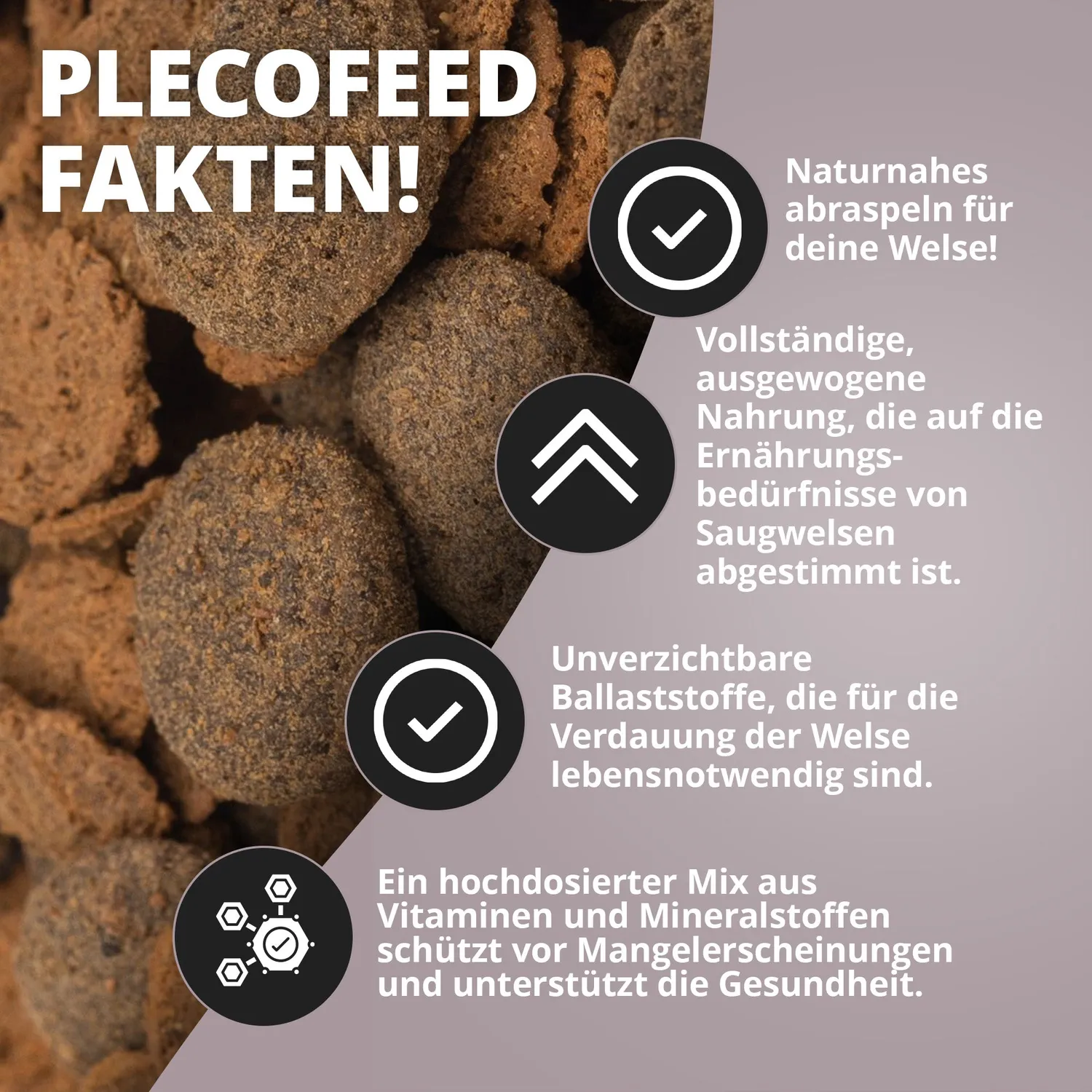 NatureHolic Welsfeed Welstabs 30g Welsfutter proteinreich