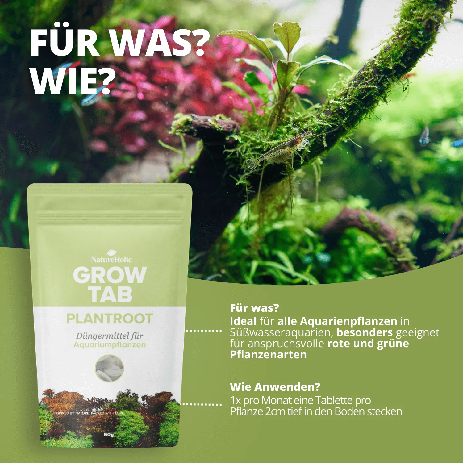 NatureHolic Grow Tab Plantroot Bodentabletten Wurzel Dünger