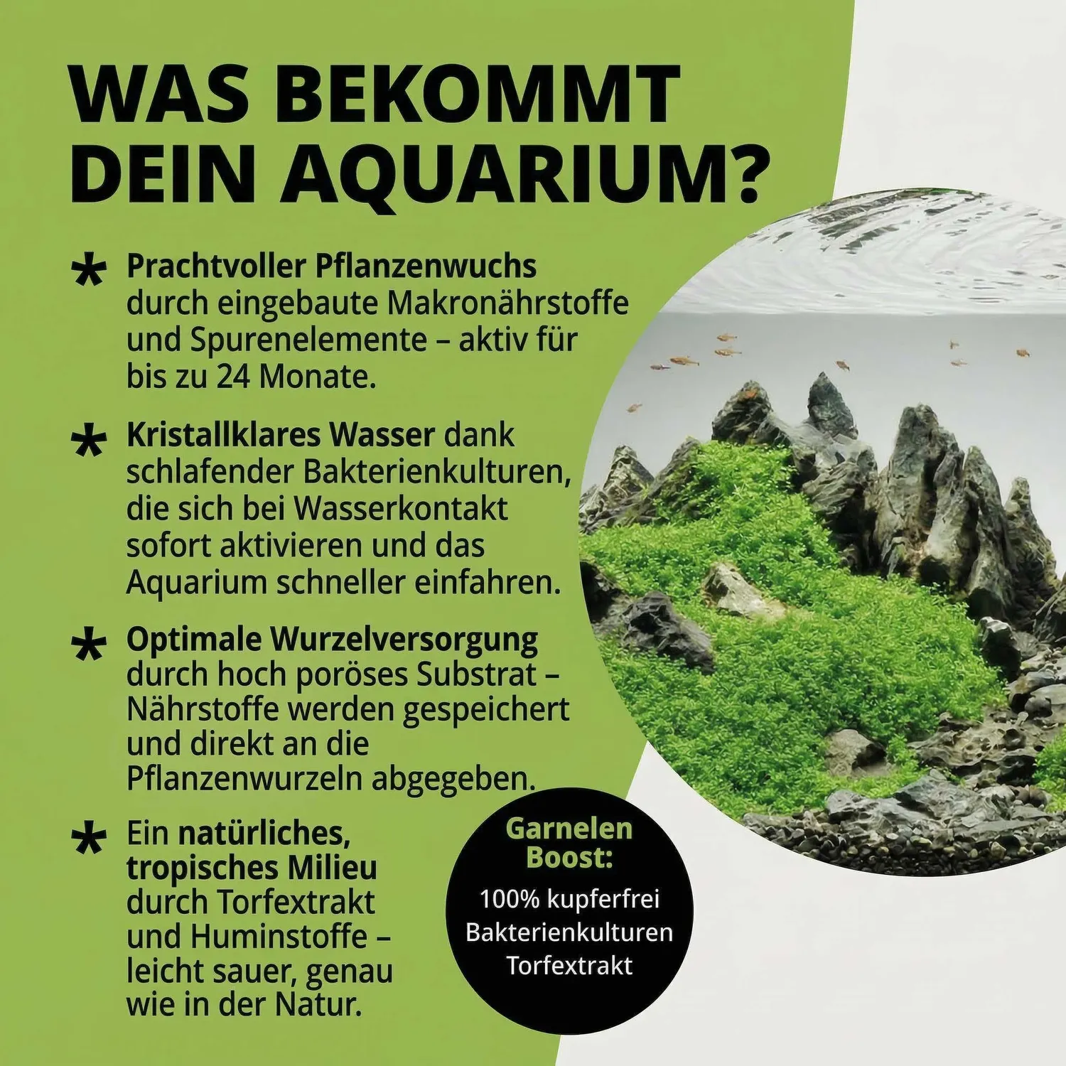NatureHolic GroundBooster Nährboden Aquarium Bentonit+Nährstoffe
