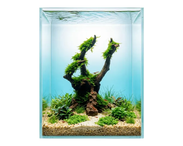 NatureHolic Ready to Scape Jungle Tree Aquarium Baum Polyresin