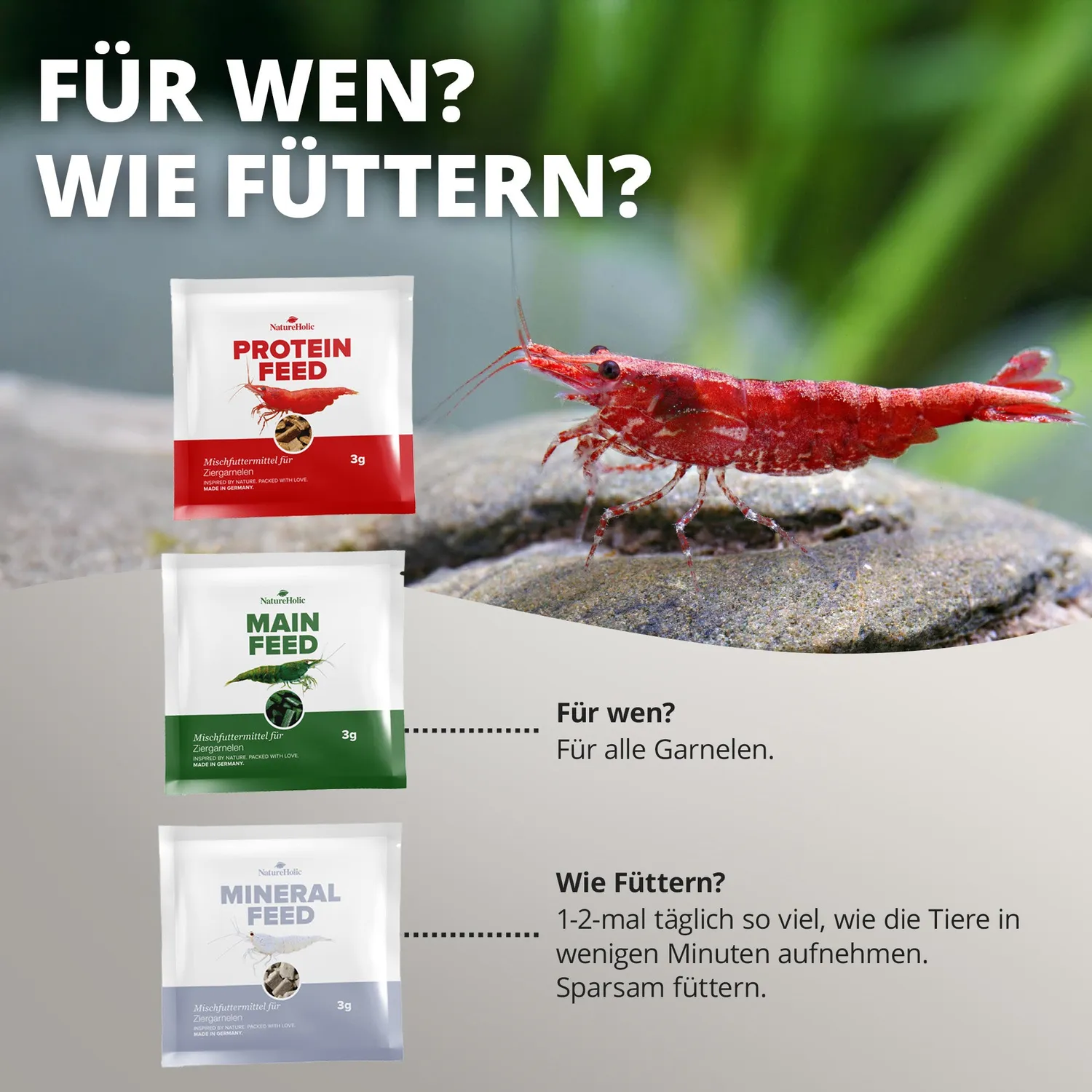 NatureHolic 3 in 1 Shrimp Mix Garnelenfutter Probierset Pads