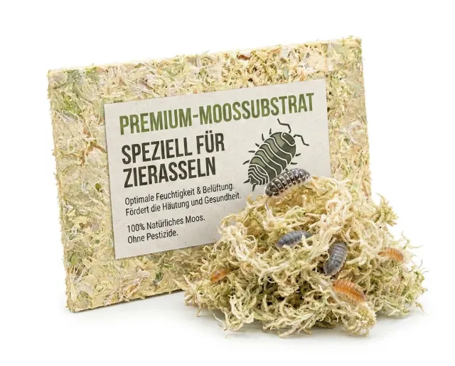 NatureHolic AsselMoss Terrarium Moos Sphagnum Platte ergibt 1L lose