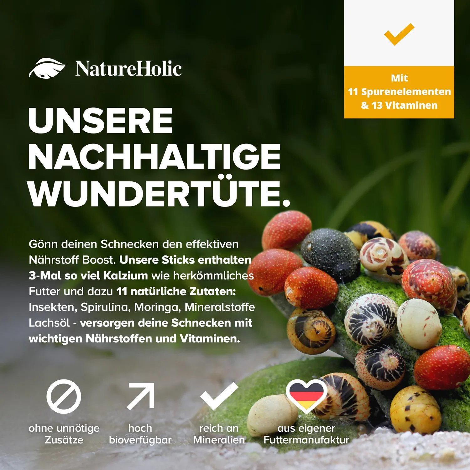 NatureHolic Snailfeed Schneckenfeed Sticks Schneckenfutter 30g Aufwuchs