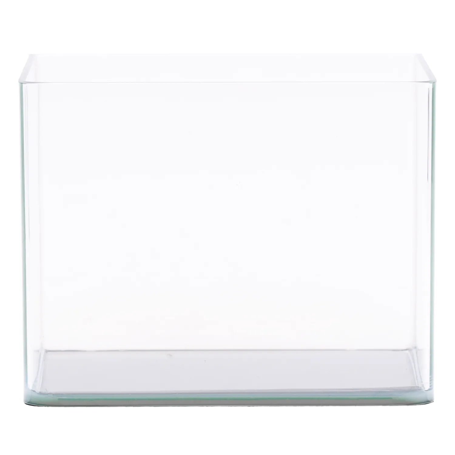 NatureHolic Curved Garden Tank Pico Aquarium 12 Liter