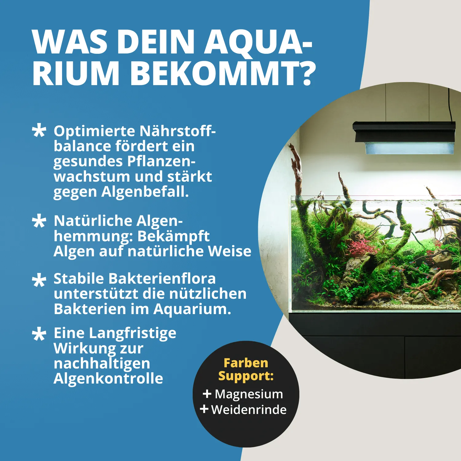 NatureHolic Blue Algae Stop Blaualgenentferner 250 ml