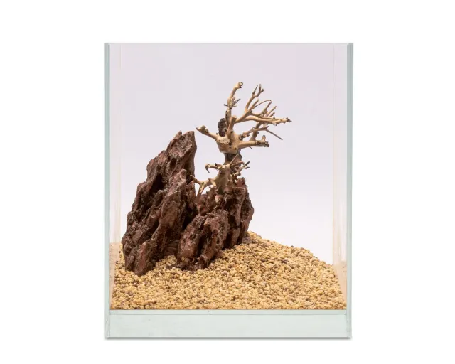 NatureHolic Ready to Scape Cliff Ancient Cypress Hardscape
