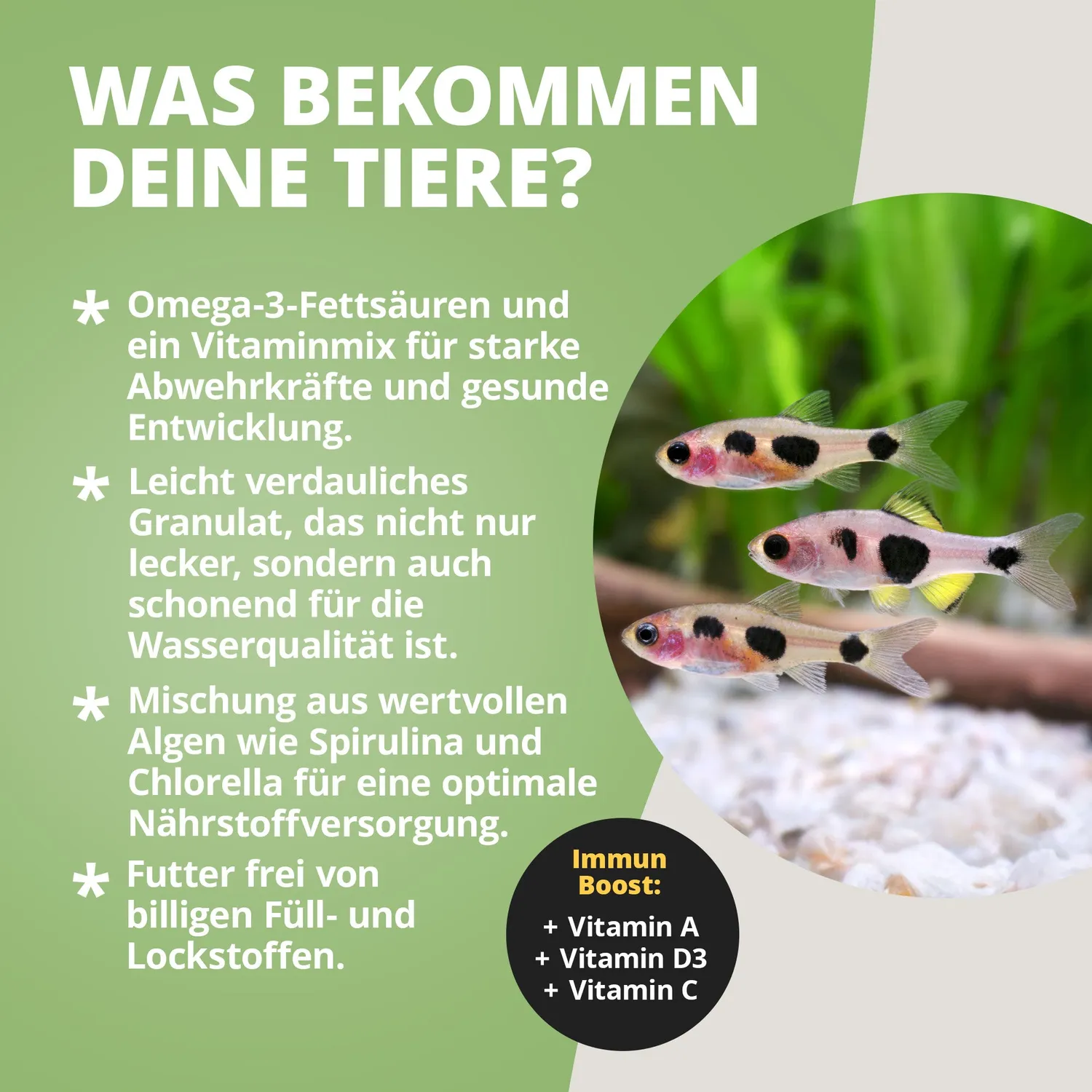 NatureHolic Hauptfeed Granulat Zierfischfutter 30 g Lachsöl