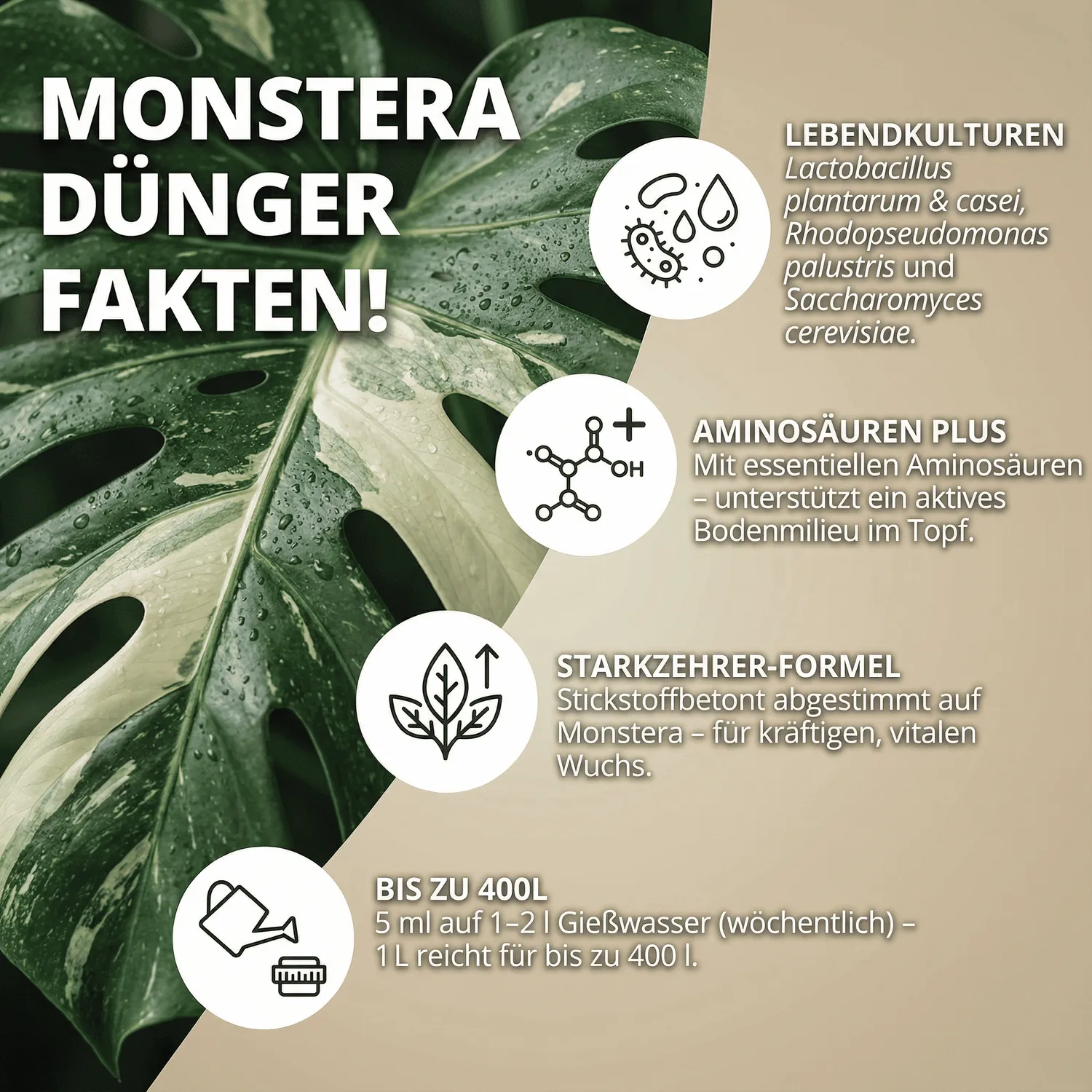 NatureHolic Monstera Flüssigdünger 1000ml Zimmerpflanzendünger vegan