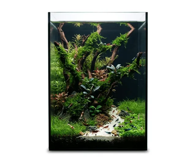 NatureHolic Black Wall 20L Aquarium Nano schwarzes Glas