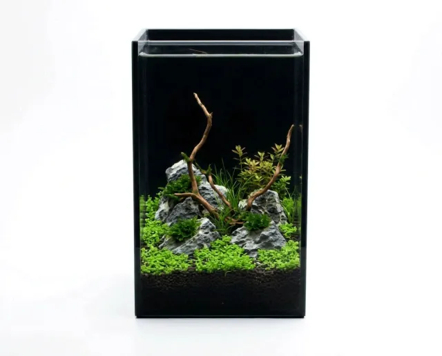 NatureHolic Black Wall Nano Aquarium 5L schwarzes Glas